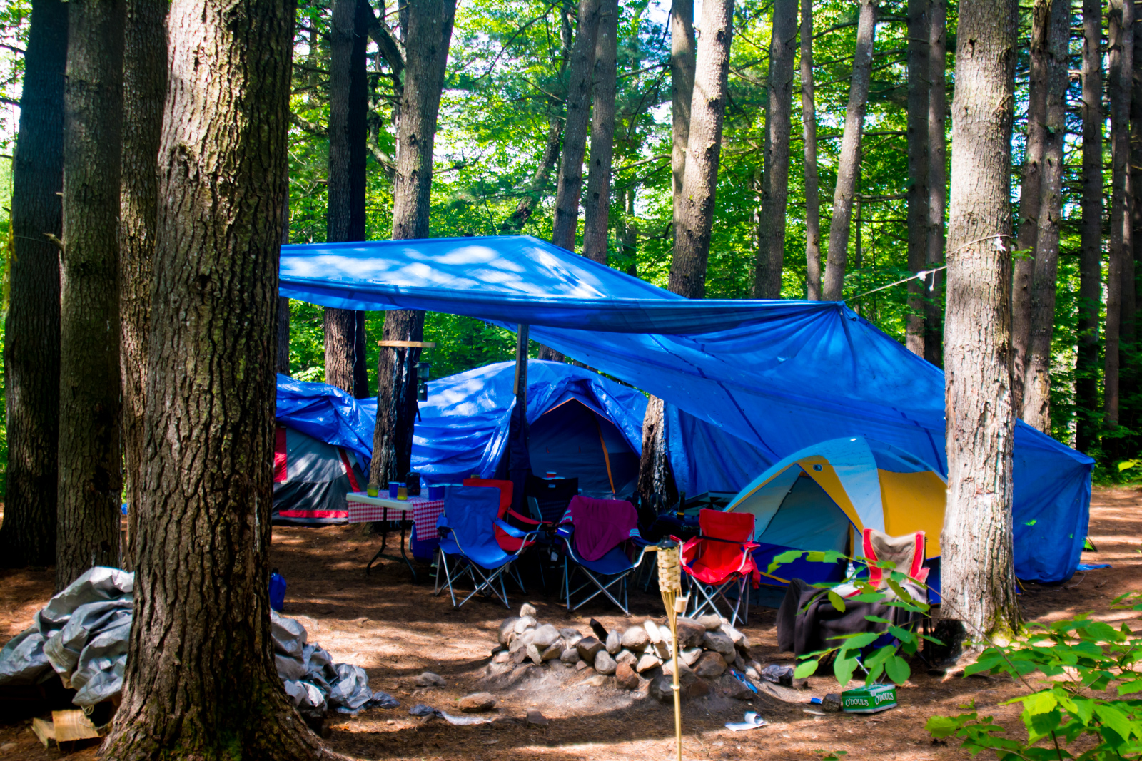 Traditional tent camping in the woods